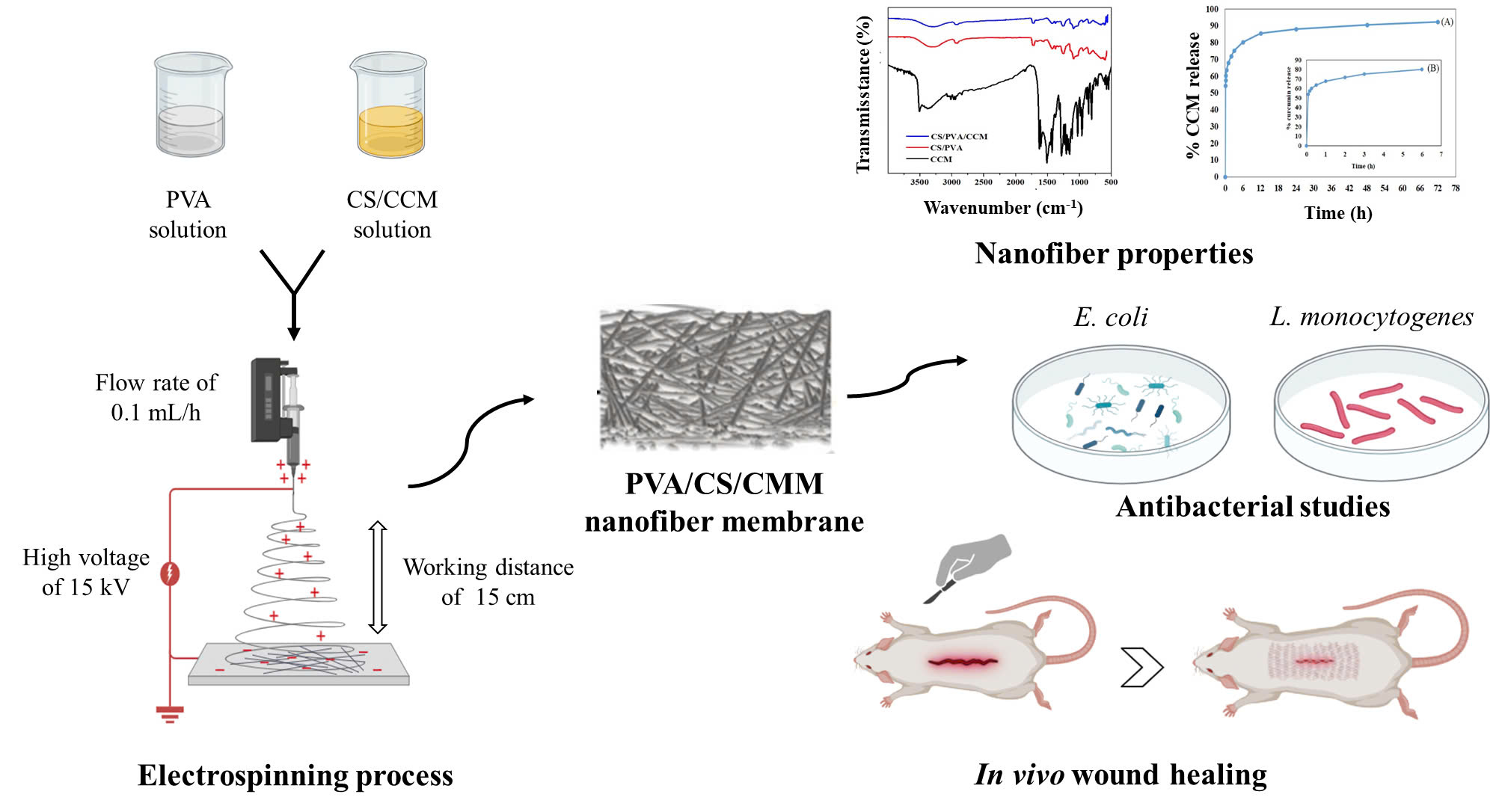 Electrospun chitosan/polyvinyl alcohol nanofibrous membrane loading curcumin to promote wound healing and improve antibacterial properties
