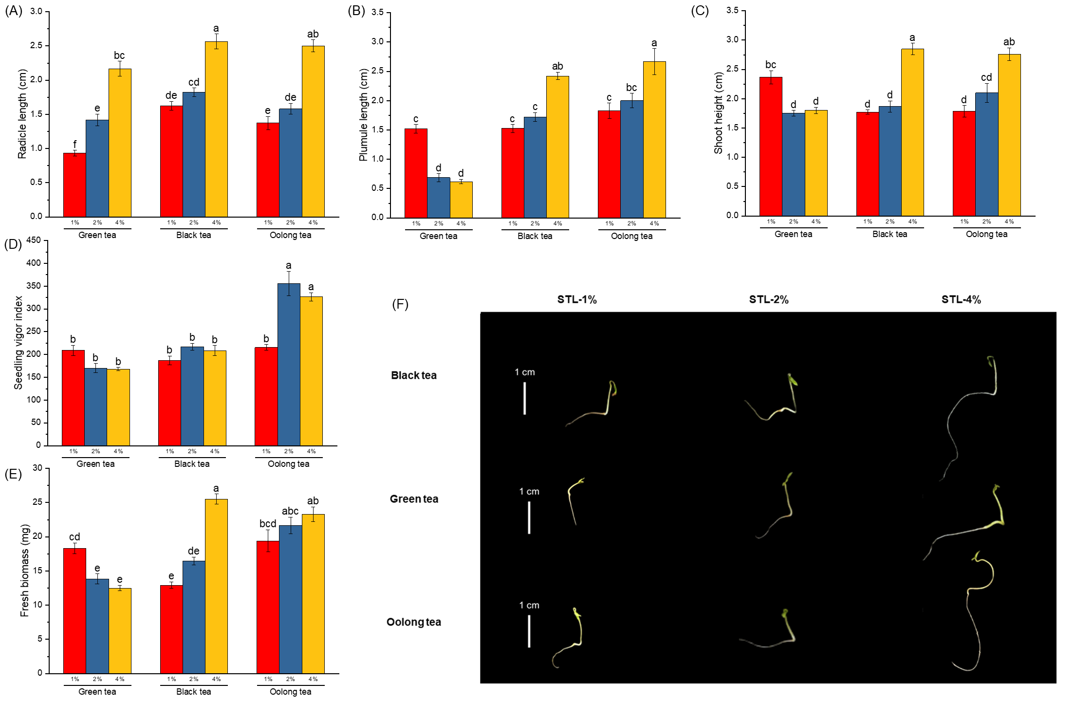 Seed priming with spent tea leaves (Camellia sinensis L.) promotes early growth of black cherry tomato (Solanum lycopersicum L. var. cerasiforme) seedlings under drought stress