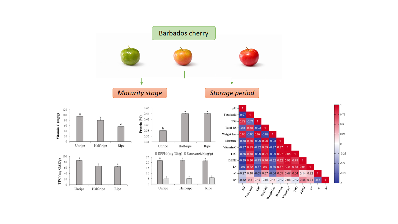 Influence of maturity stage and storage duration on the physicochemical properties and eating quality of Barbados cherry (Malpighia emarginata D.C.)