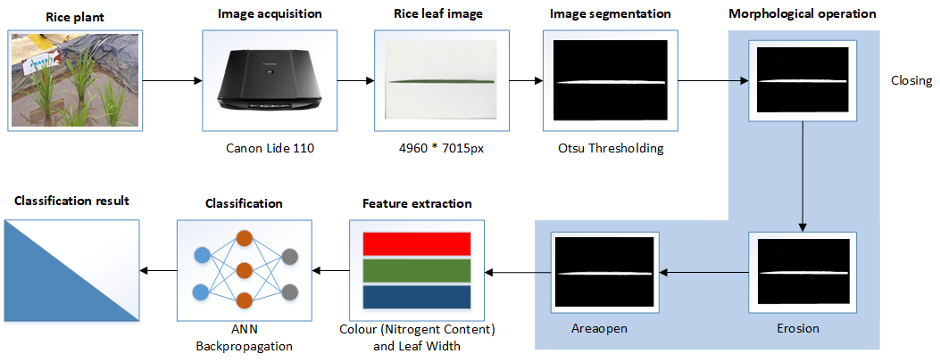 Vegetative Rice Growth Quality Classification Using Artificial Neural Network Based on Nitrogen Content and Leaf Width Features