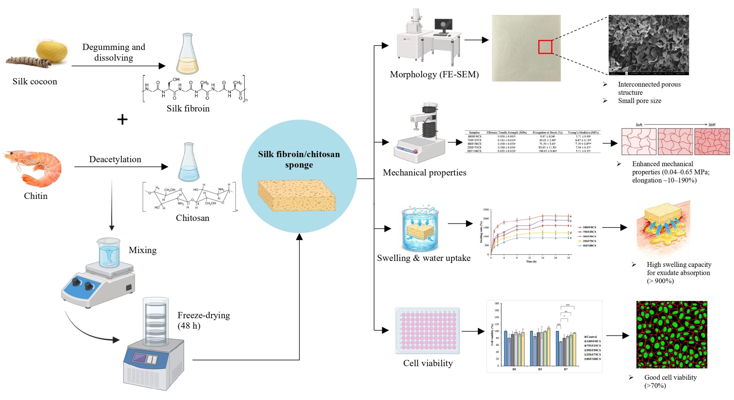 Development of Silk Fibroin/Chitosan Sponge for Wound Dressing